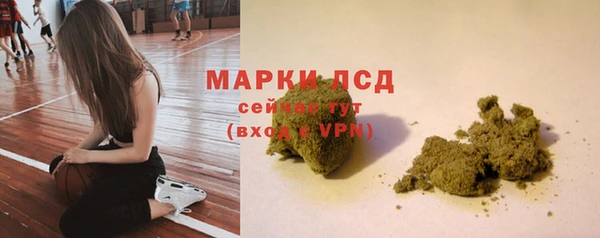 стафф Алексин