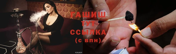 гидра Алзамай