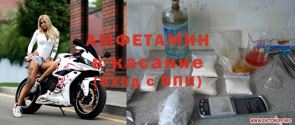 стафф Алексин