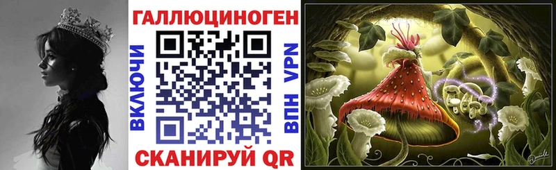 Галлюциногенные грибы Psilocybe  ОМГ ОМГ вход  Переславль-Залесский 