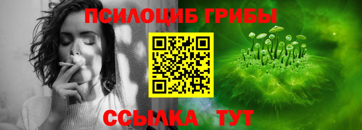 Псилоцибиновые грибы MAGIC MUSHROOMS Переславль-Залесский