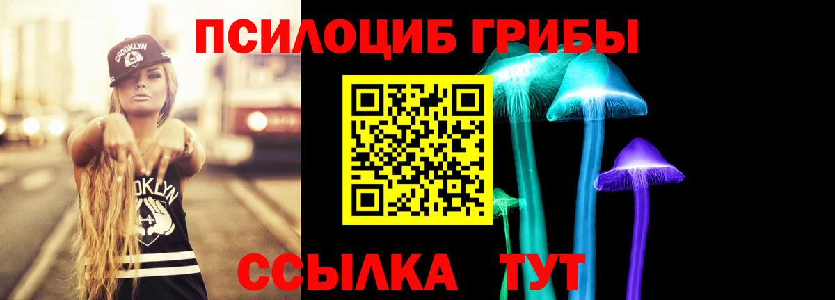 Галлюциногенные грибы Psilocybine cubensis  Вход с VPN  Переславль-Залесский 